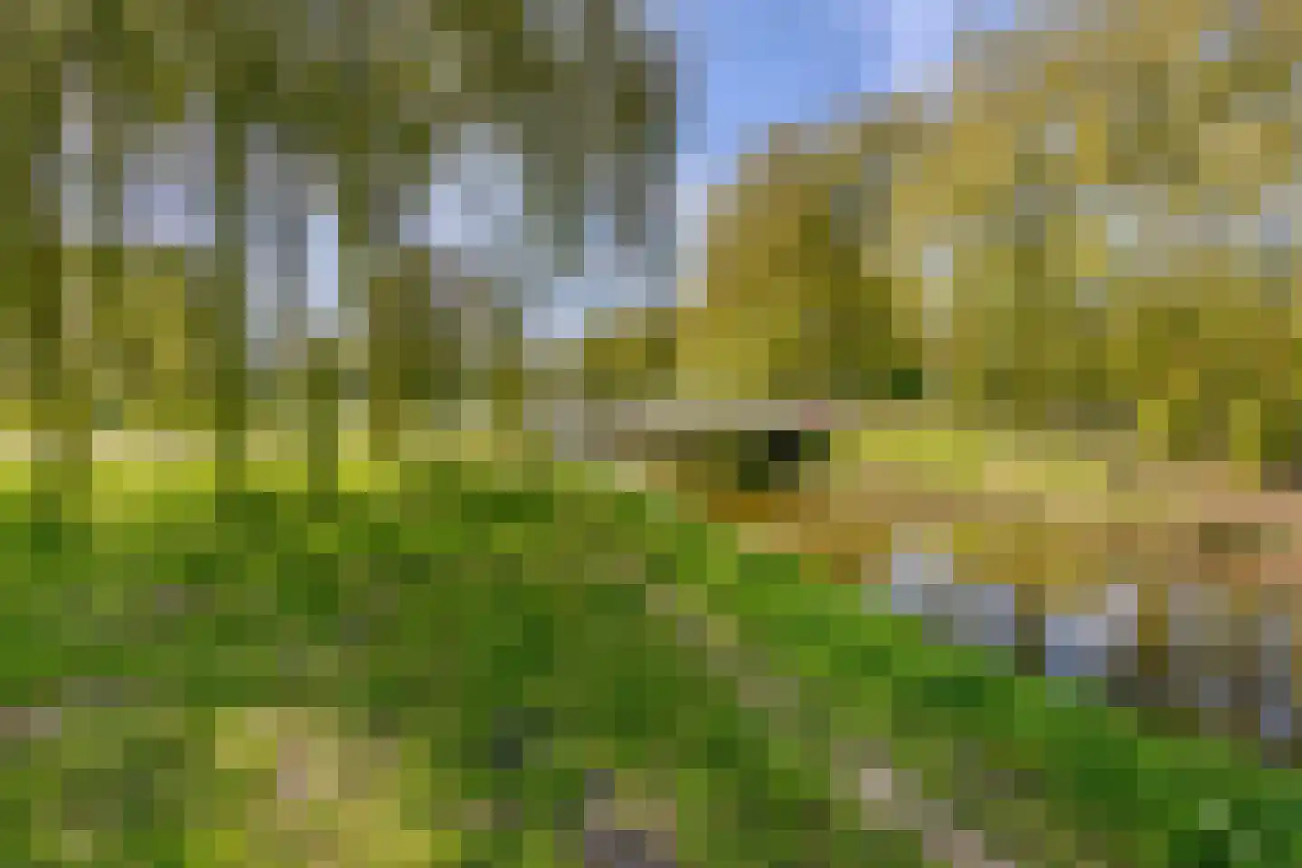 Tuinstraat 9 Poortugaal thumbnail 35