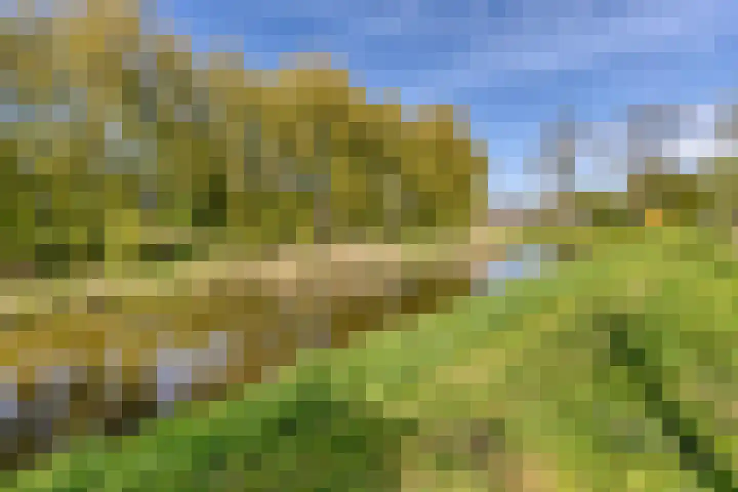 Tuinstraat 9 Poortugaal thumbnail 36