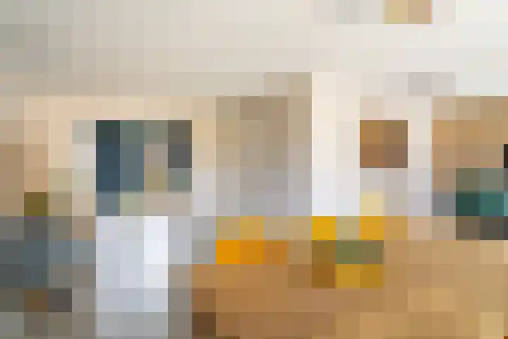 Tuinstraat 9 Veen thumbnail 16
