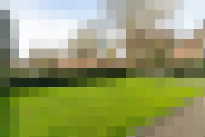 Tuinstraat 9 Veen foto 2
