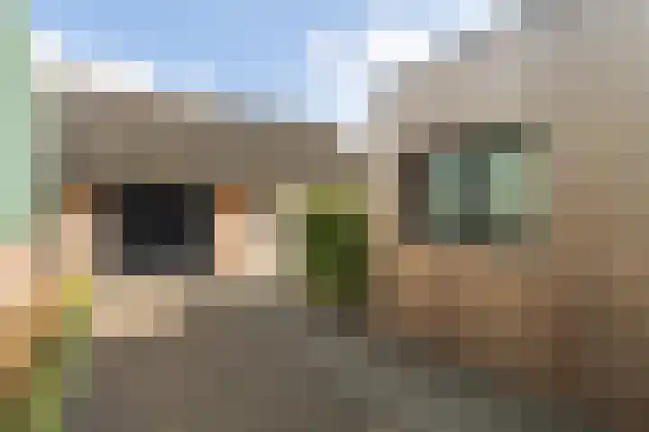Tuinstraat 9 Veen thumbnail 34
