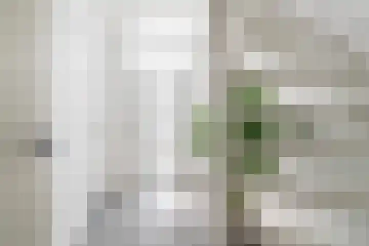 Tuinstraat 9 Veen thumbnail 5