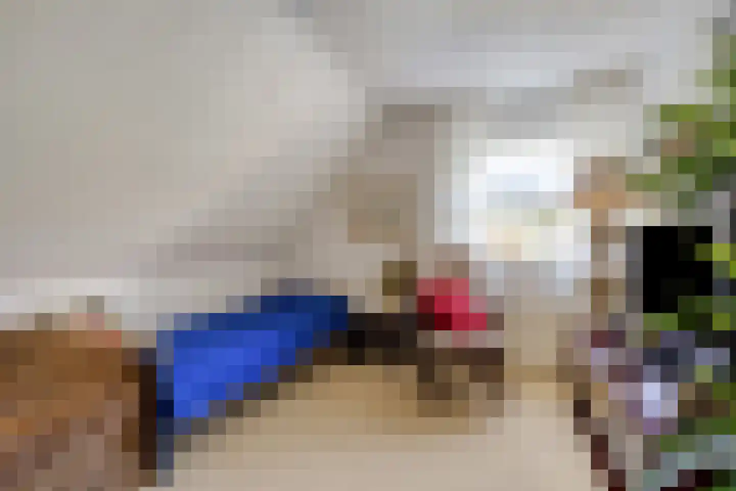 Tuinstraat 9 Woensdrecht thumbnail 35
