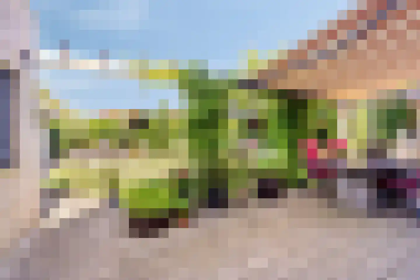 Tuinstraat 9 Woensdrecht thumbnail 37