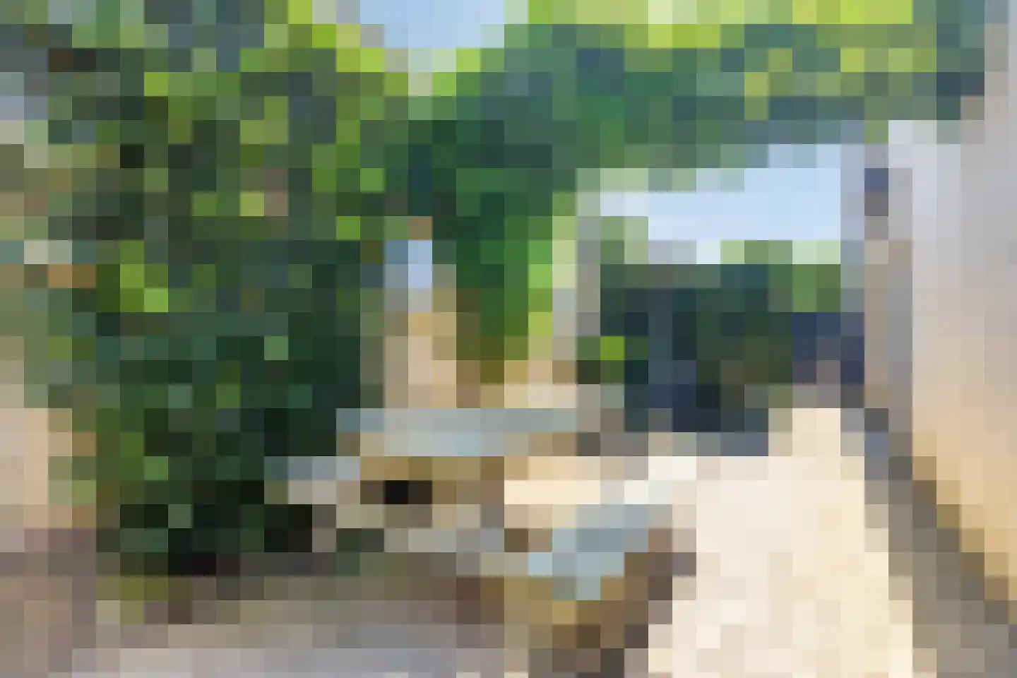 Tuinstraat 9 Woensdrecht thumbnail 39