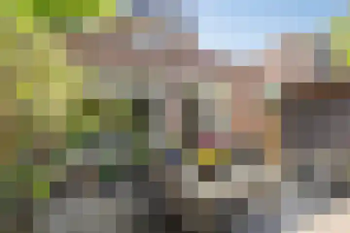 Tuinstraat 9 Zwolle thumbnail 16