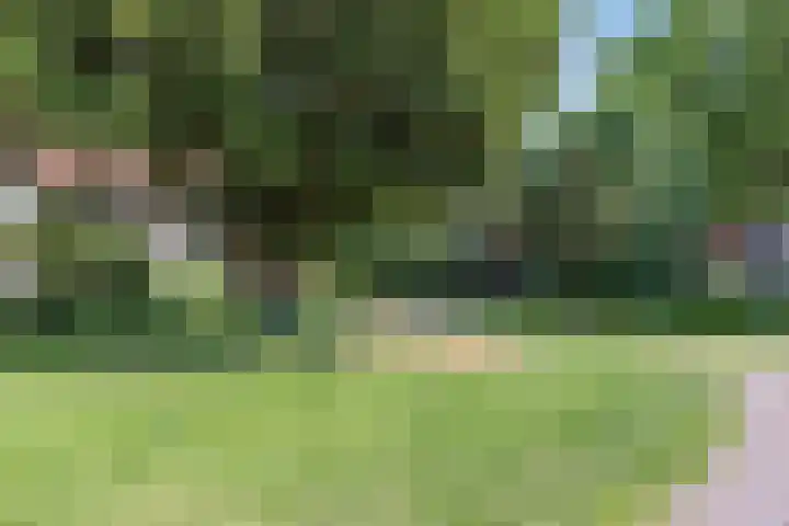 Tuinstraat 9 Zwolle thumbnail 21