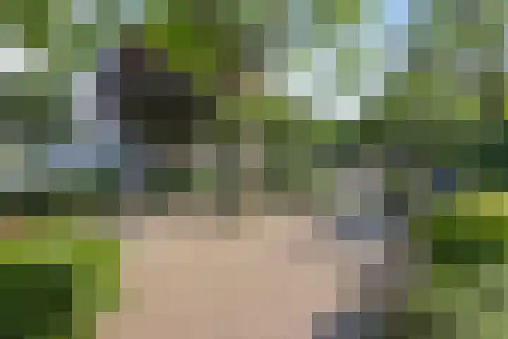 Tuinstraat 9 Zwolle thumbnail 22