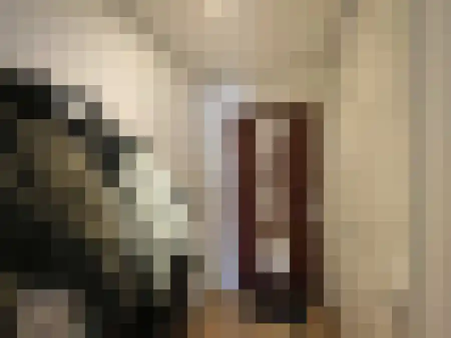 Tuinstraat 90 Apeldoorn thumbnail 4