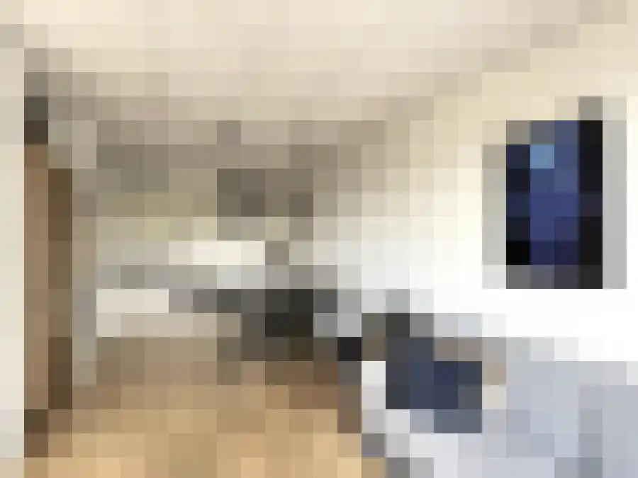 Tuinstraat 90 Apeldoorn thumbnail 6