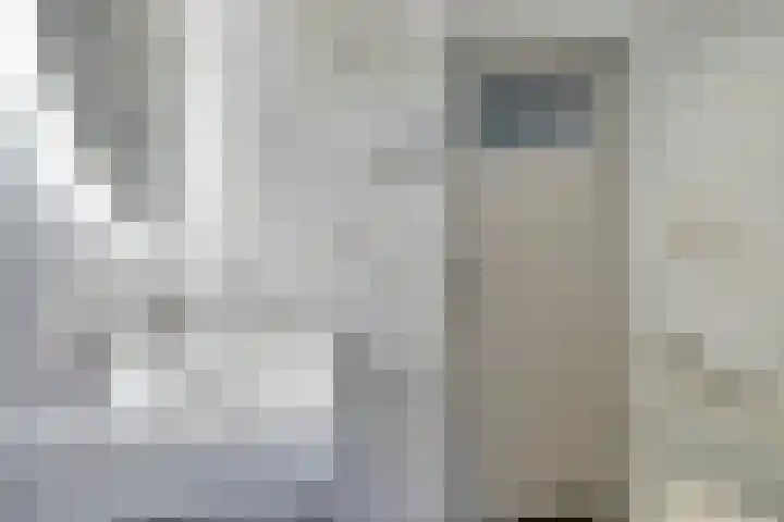 Tuinstraat 91 Krimpen aan den IJssel thumbnail 11