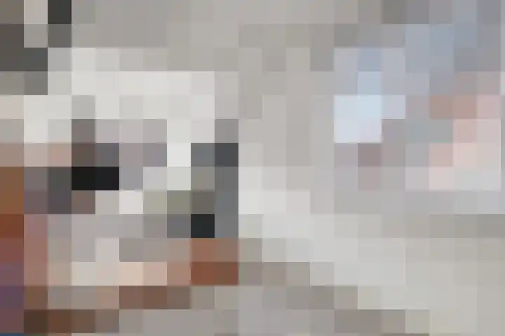 Tuinstraat 91 Krimpen aan den IJssel thumbnail 14