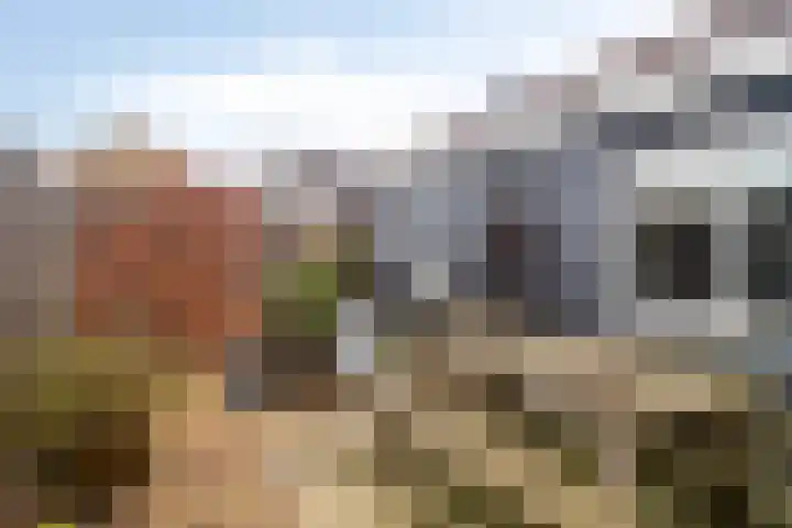 Tuinstraat 91 Krimpen aan den IJssel thumbnail 20
