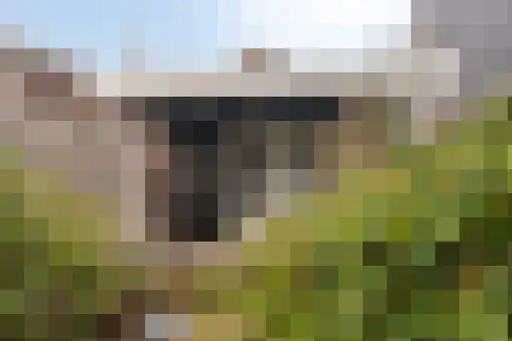 Tuinstraat 91 Krimpen aan den IJssel thumbnail 22