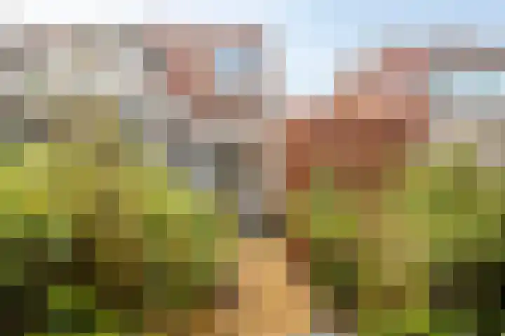 Tuinstraat 91 Krimpen aan den IJssel thumbnail 23