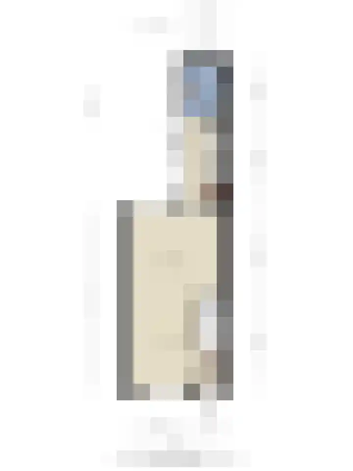 Tuinstraat 91 Krimpen aan den IJssel thumbnail 24
