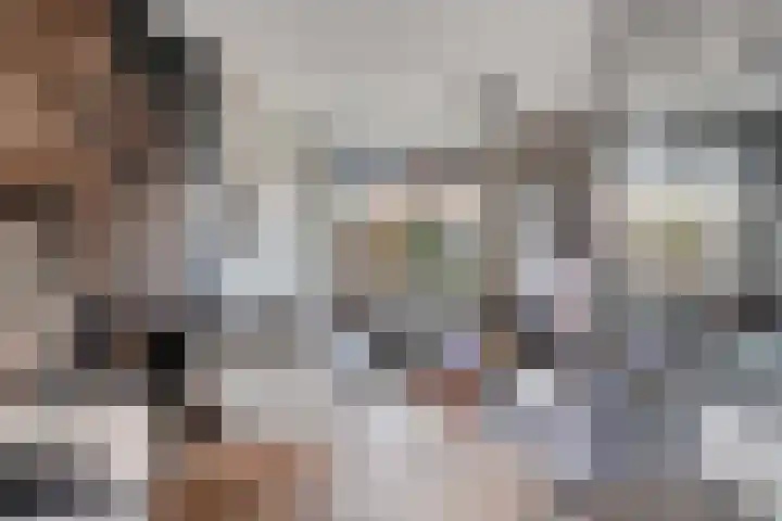 Tuinstraat 91 Krimpen aan den IJssel thumbnail 6