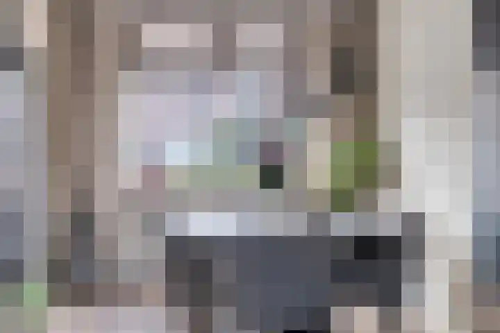 Tuinstraat 91 Krimpen aan den IJssel thumbnail 8