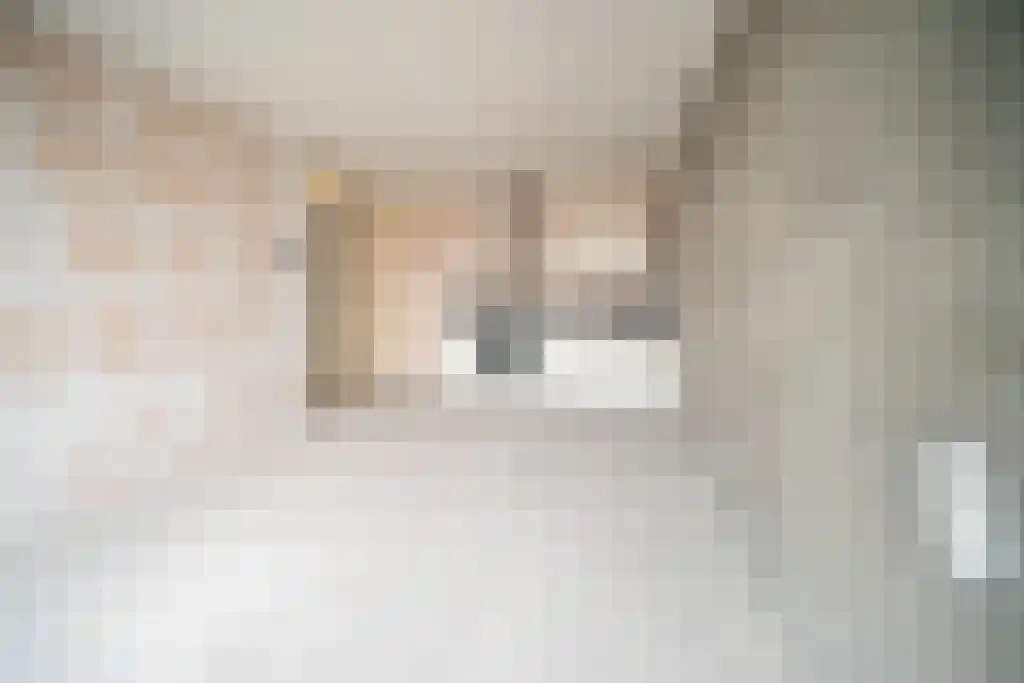 Tuinstraat Veenendaal thumbnail 4