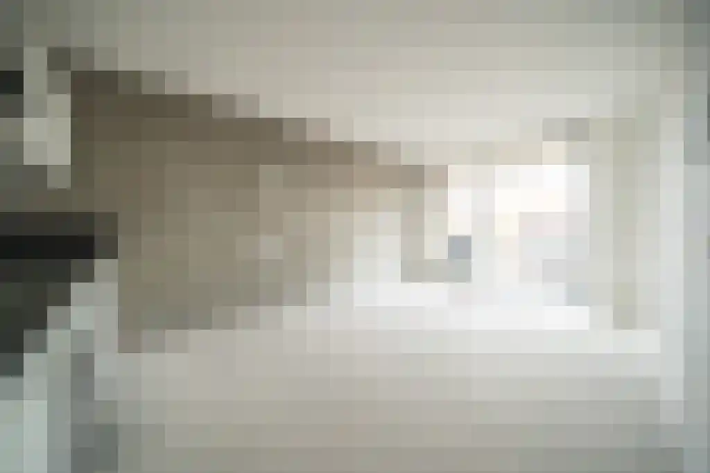 Tuinstraat Veenendaal thumbnail 6