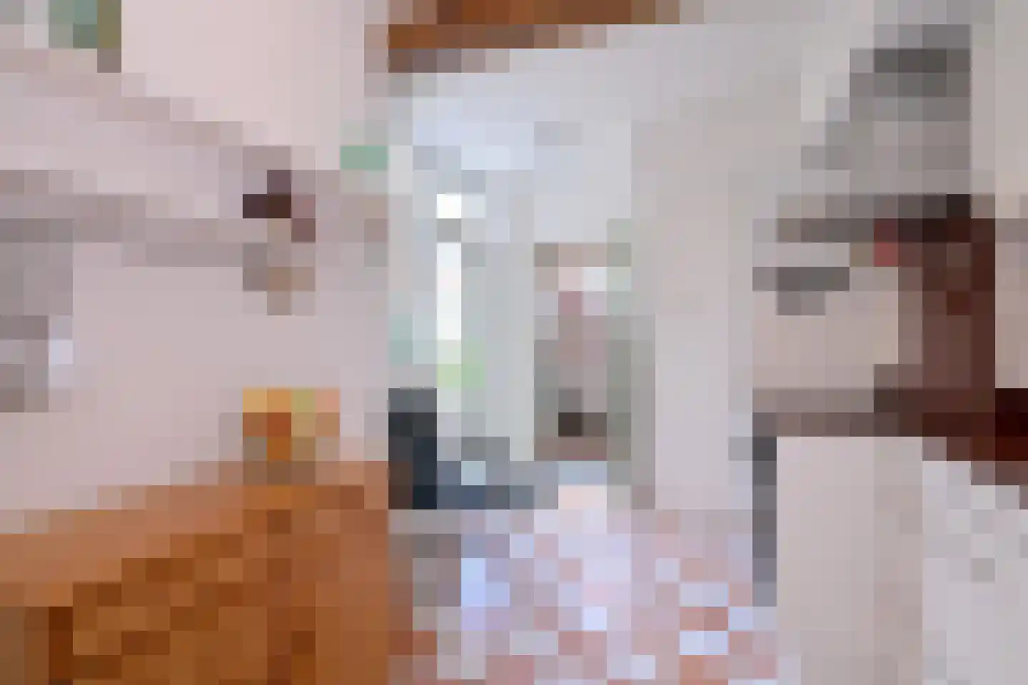 Tuinstraatje 17 Deventer thumbnail 15