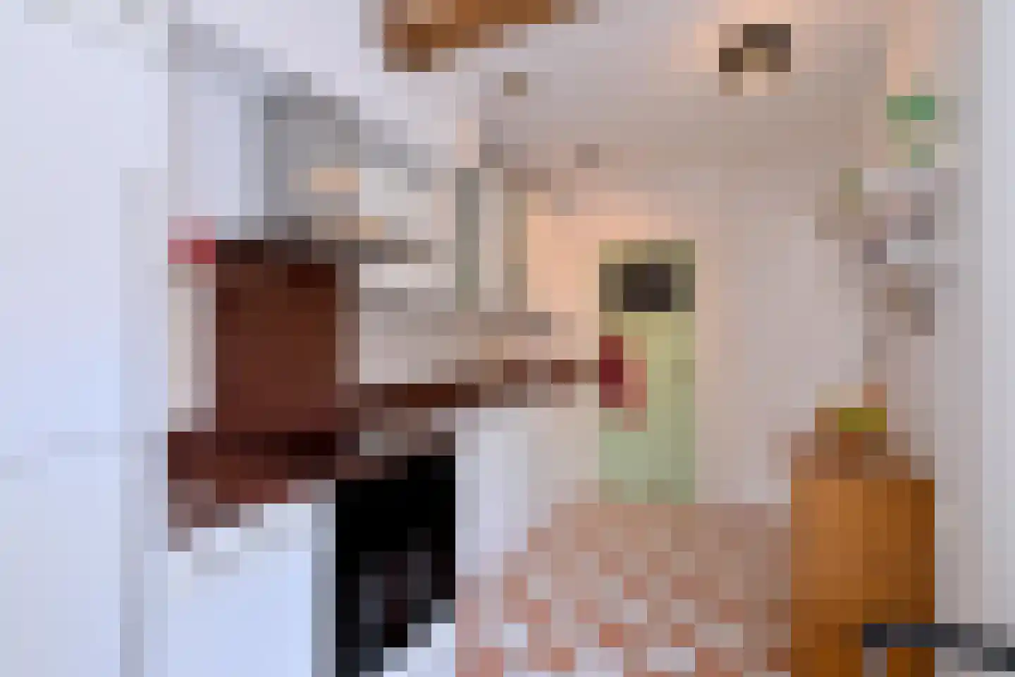 Tuinstraatje 17 Deventer thumbnail 17