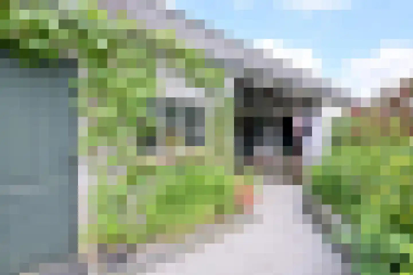 Tuinstraatje 17 Deventer thumbnail 9