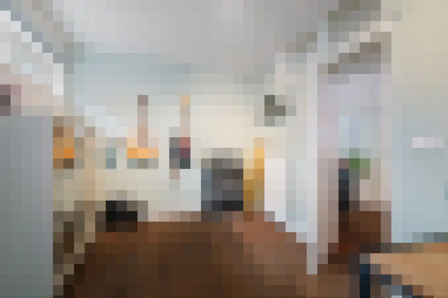 Tuinstraatje 20 Deventer thumbnail 15