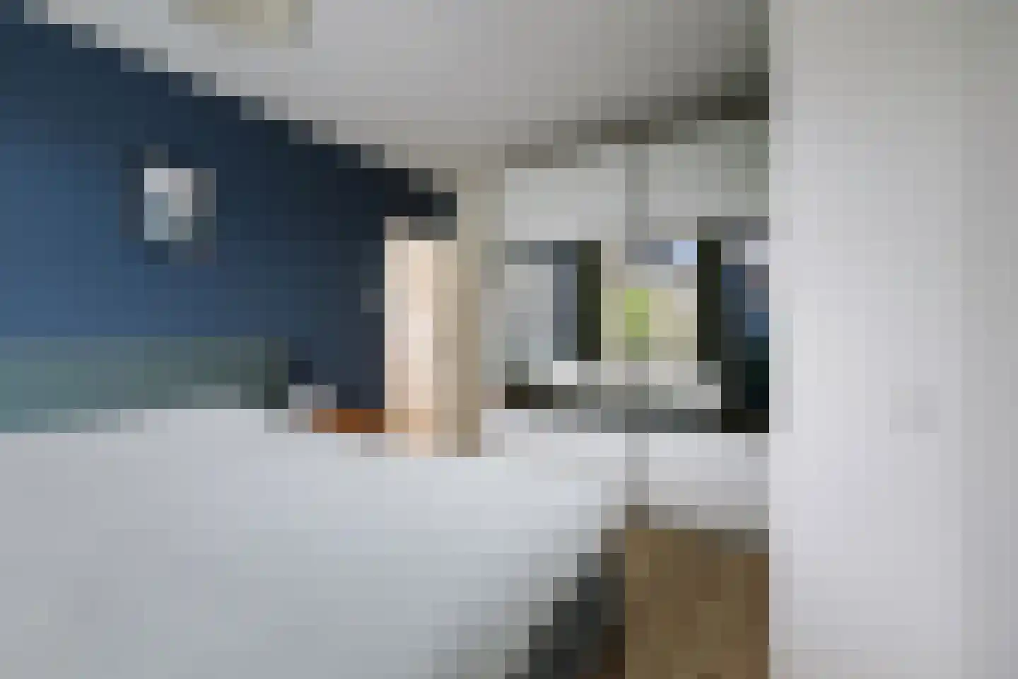Tuinstraatje 20 Deventer thumbnail 20