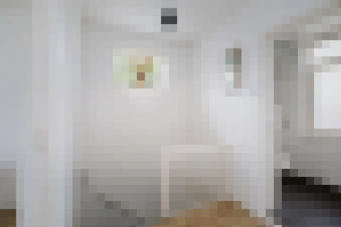 Tuinstraatje 20 Deventer thumbnail 25