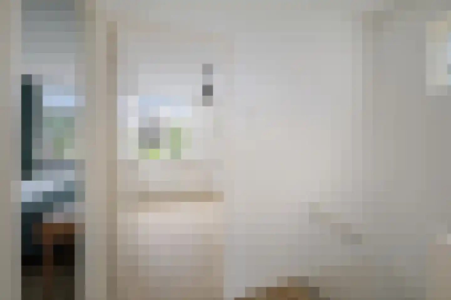 Tuinstraatje 20 Deventer thumbnail 26