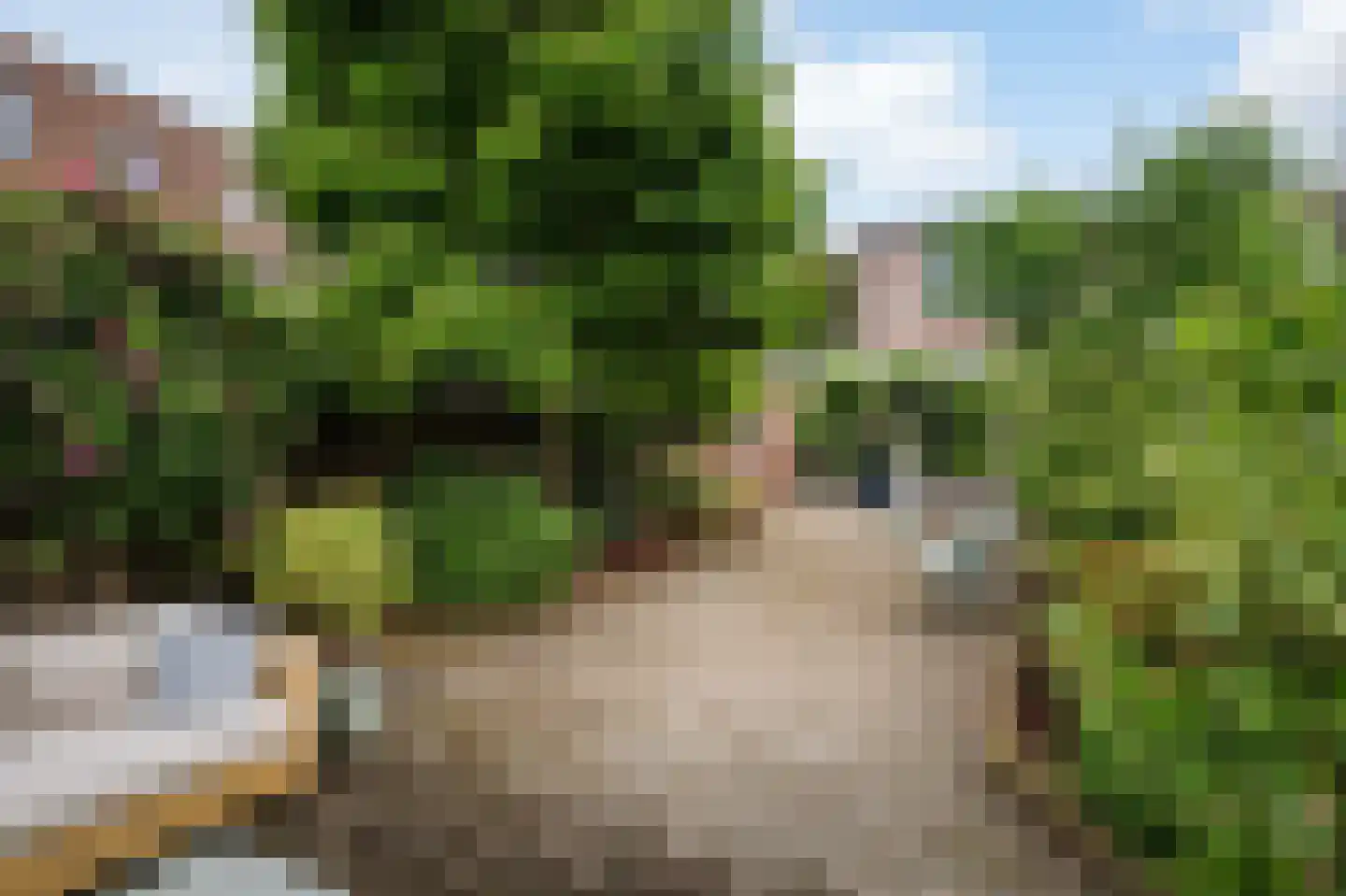 Tuinstraatje 20 Deventer thumbnail 30