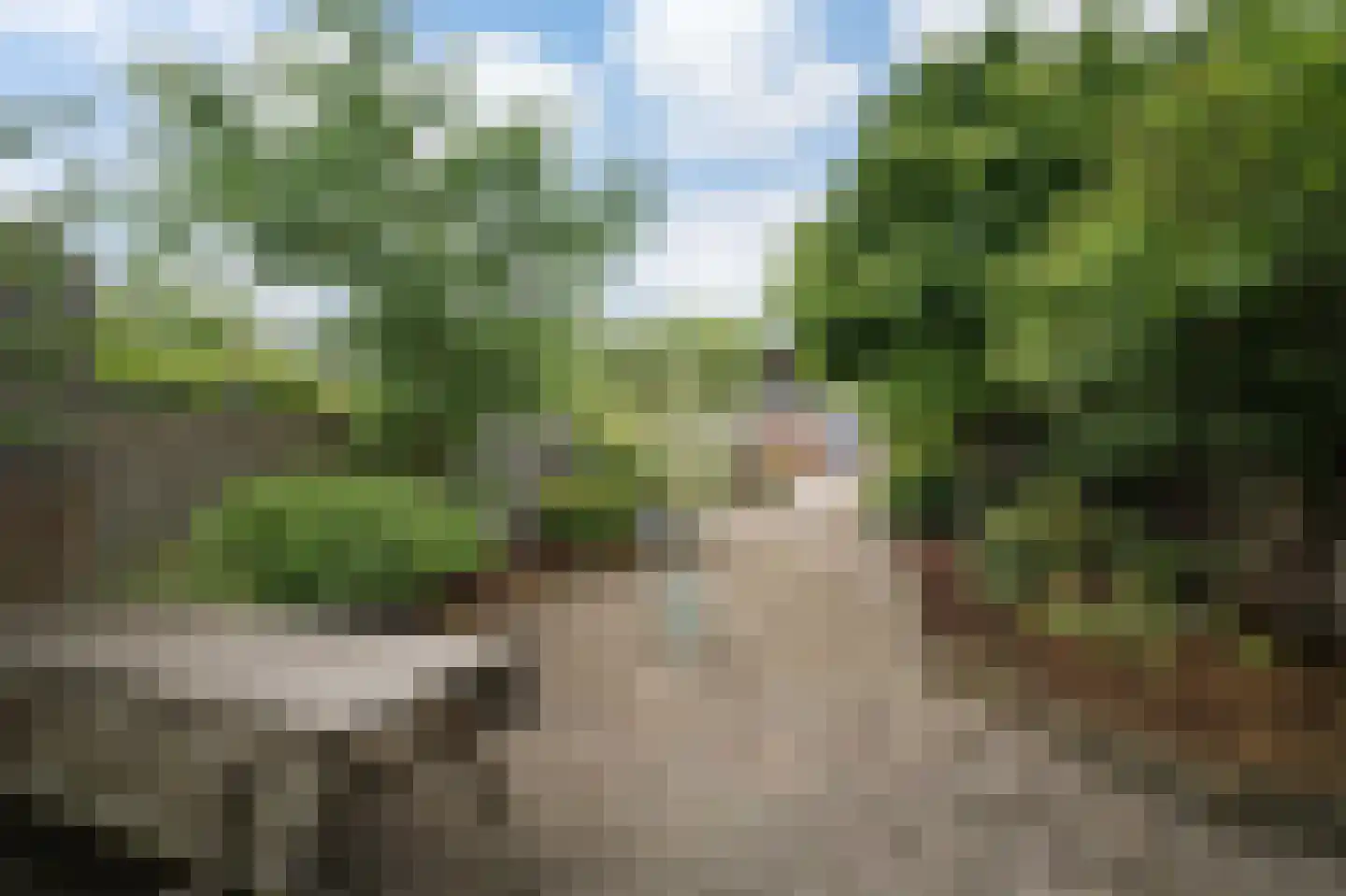 Tuinstraatje 20 Deventer thumbnail 31