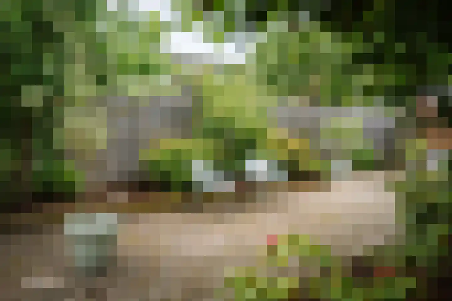 Tuinstraatje 20 Deventer thumbnail 32