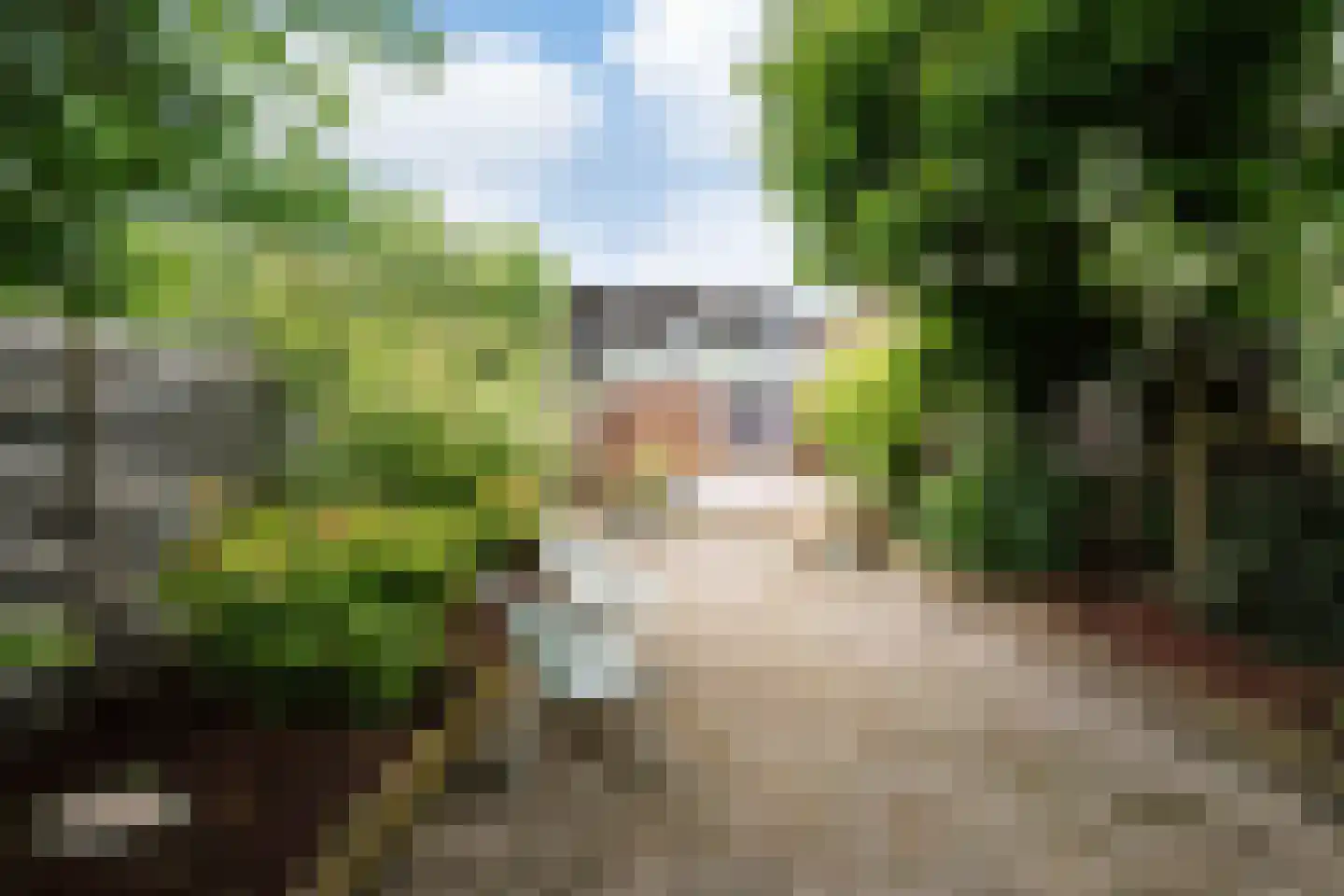 Tuinstraatje 20 Deventer thumbnail 33