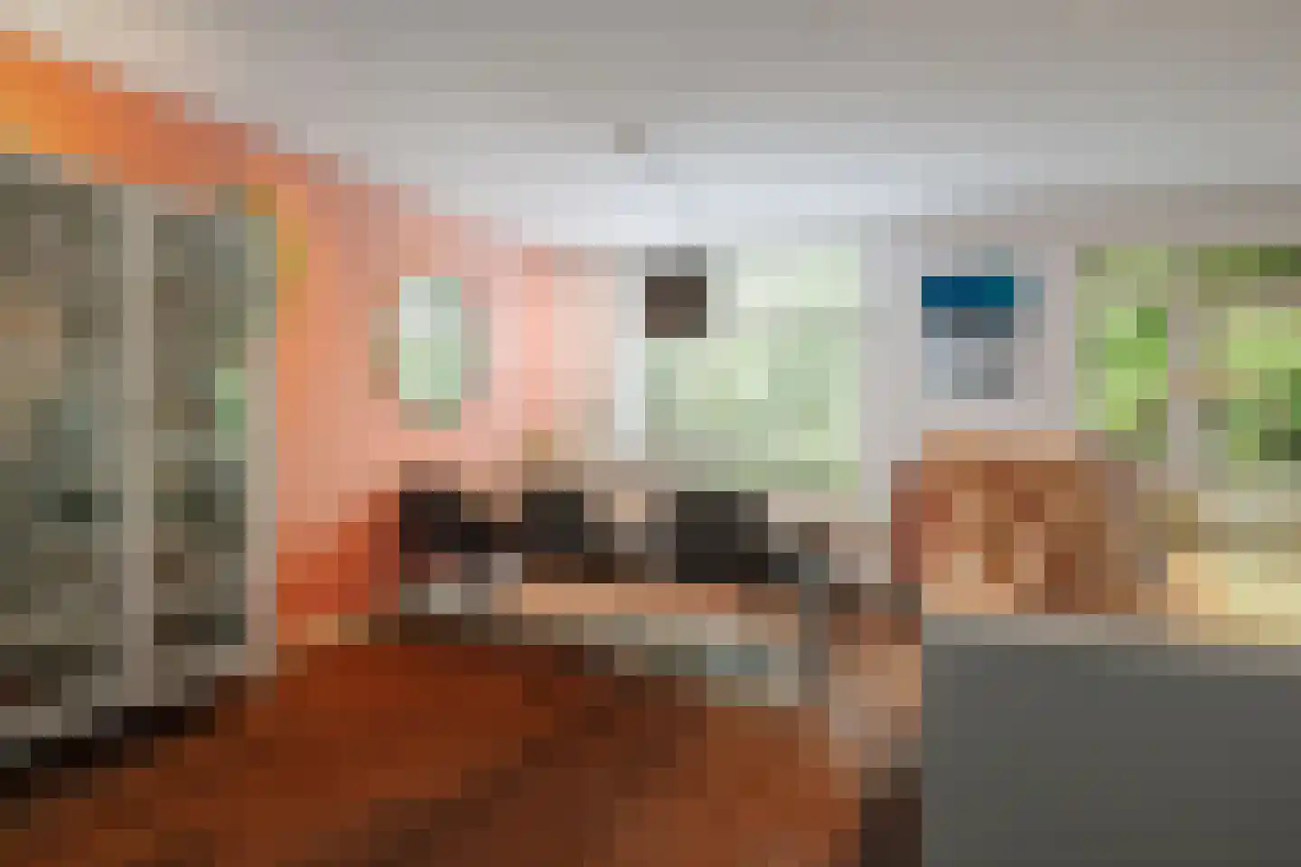 Tuinstraatje 20 Deventer thumbnail 8