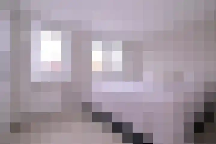 Tuinstraatje 21 Deventer thumbnail 11