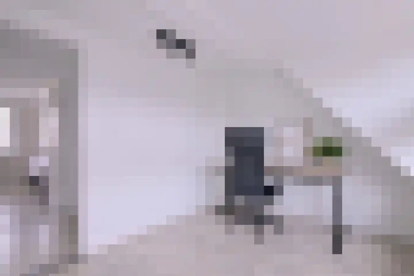 Tuinstraatje 21 Deventer thumbnail 17