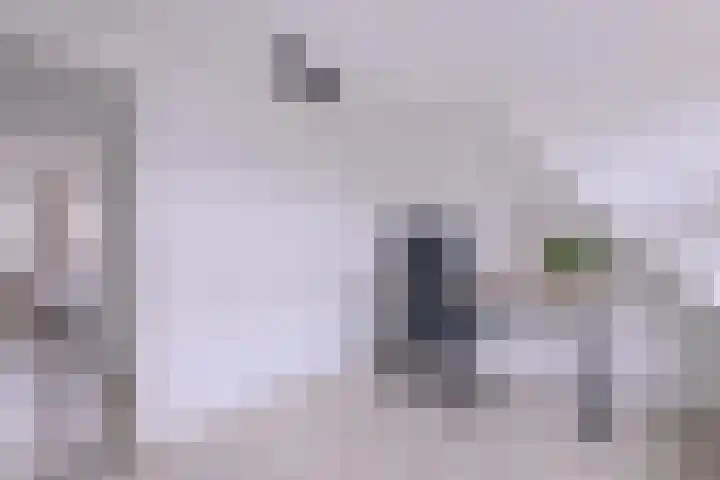 Tuinstraatje 21 Deventer thumbnail 17