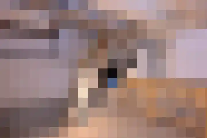 Tuinstraatje 21 Deventer thumbnail 21