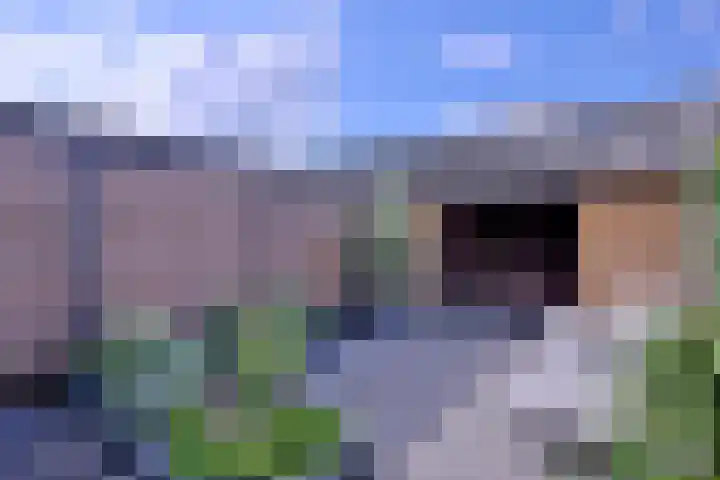 Tuinstraatje 21 Deventer thumbnail 23