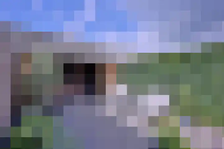 Tuinstraatje 21 Deventer thumbnail 24