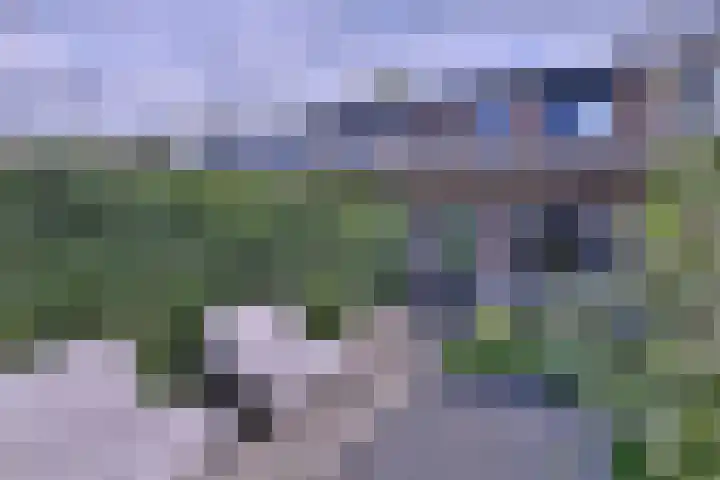 Tuinstraatje 21 Deventer thumbnail 25