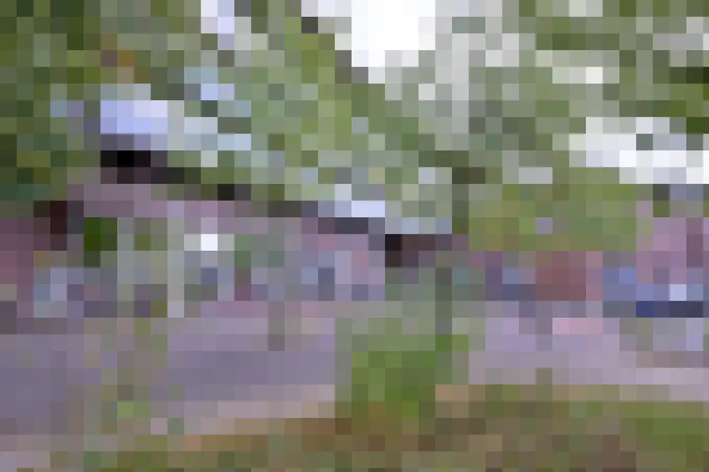 Tuinstraatje 21 Deventer thumbnail 29