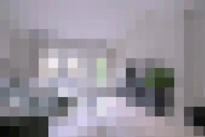 Tuinstraatje 21 Deventer thumbnail 5