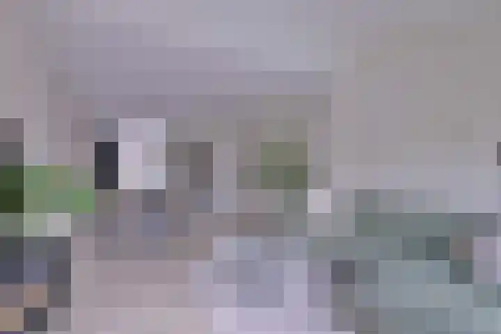 Tuinstraatje 21 Deventer thumbnail 6