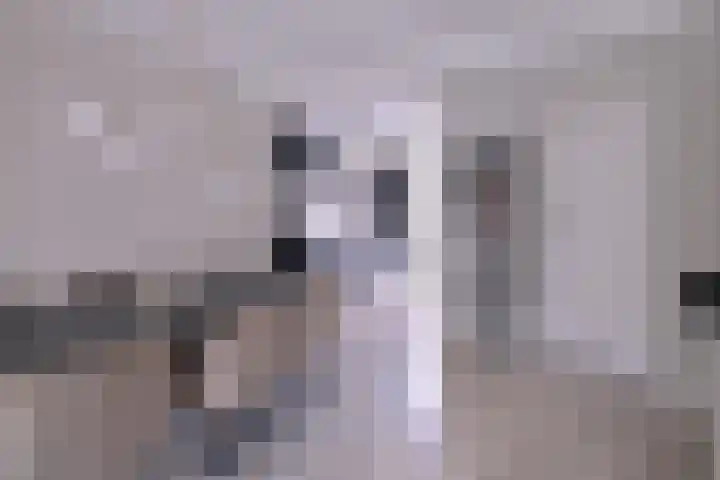 Tuinstraatje 21 Deventer thumbnail 7