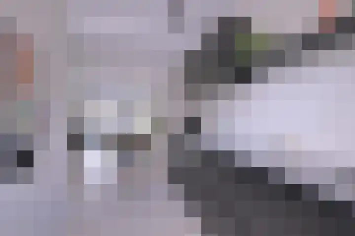 Tuinstraatje 21 Deventer thumbnail 9