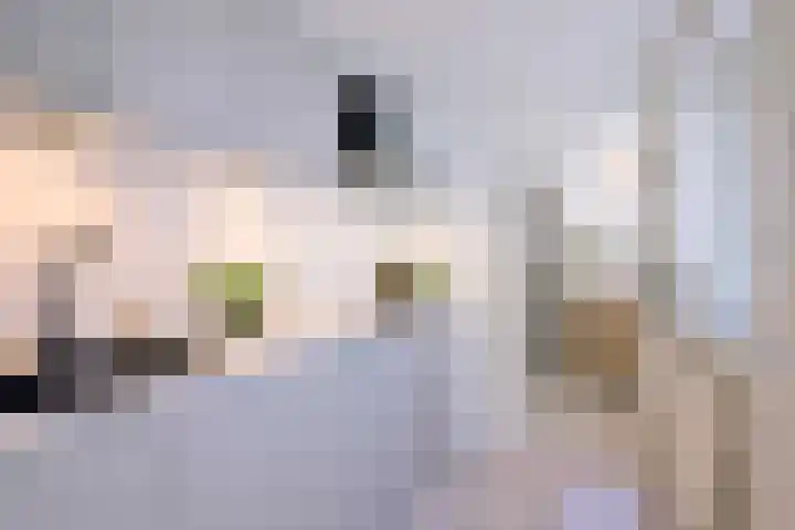 Tuinstraatje 29 Deventer thumbnail 11