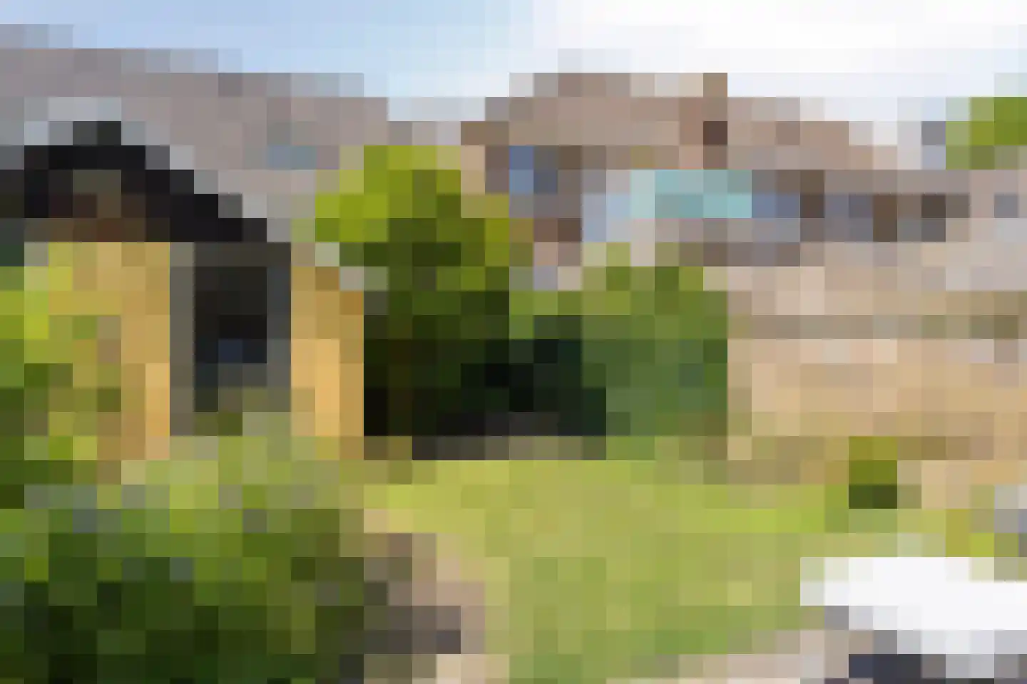 Tuinstraatje 3 Deventer thumbnail 21
